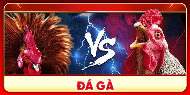 đá gà 98win