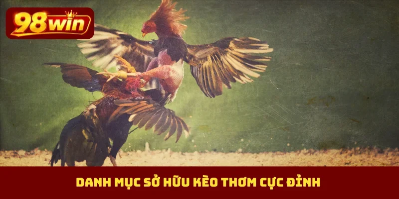 Danh mục sở hữu kèo thơm cực đỉnh