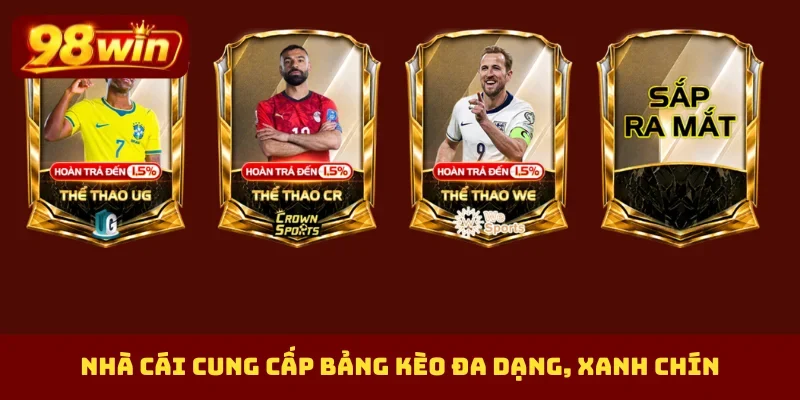 Nhà cái cung cấp bảng kèo đa dạng, xanh chín